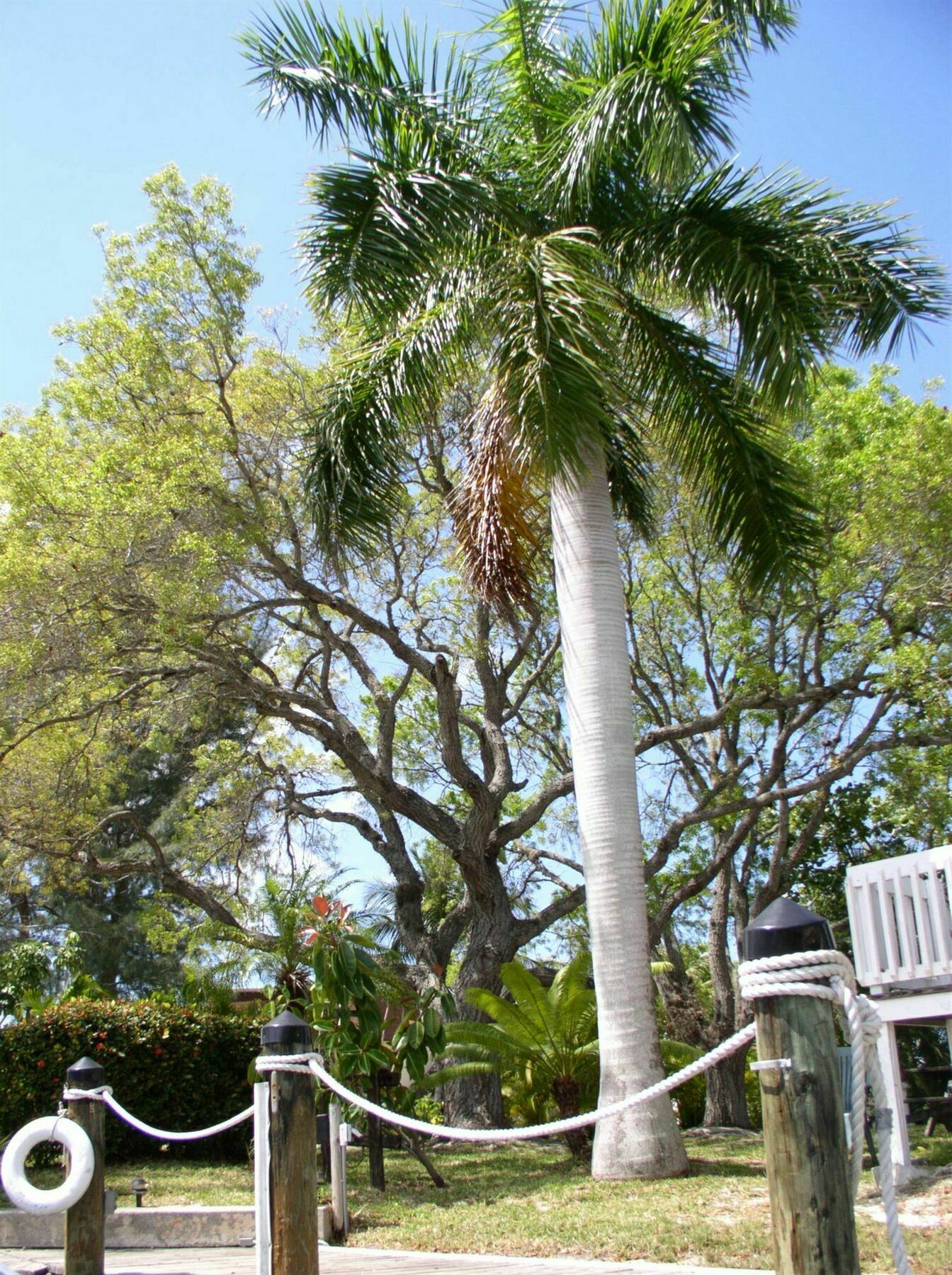 Hidden Harbor Suites Fort Myers Beach Dış mekan fotoğraf